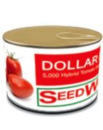 گوجه فرنگی دلار F1