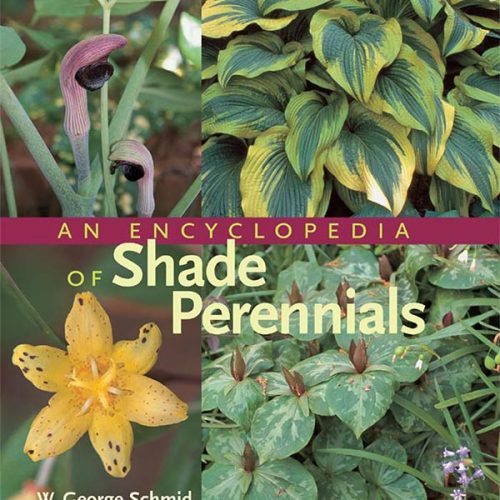 کتاب An Encyclopedia of Shade Perennials