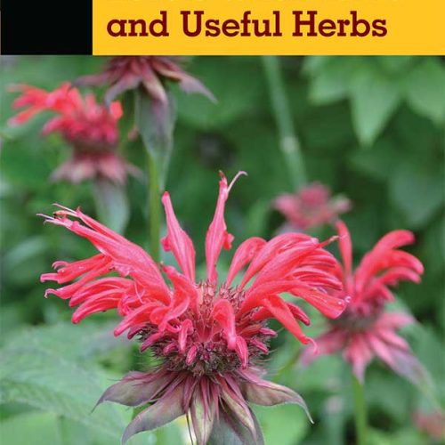 کتاب Basic Illustrated Edible Wild Plants and Useful Herbs
