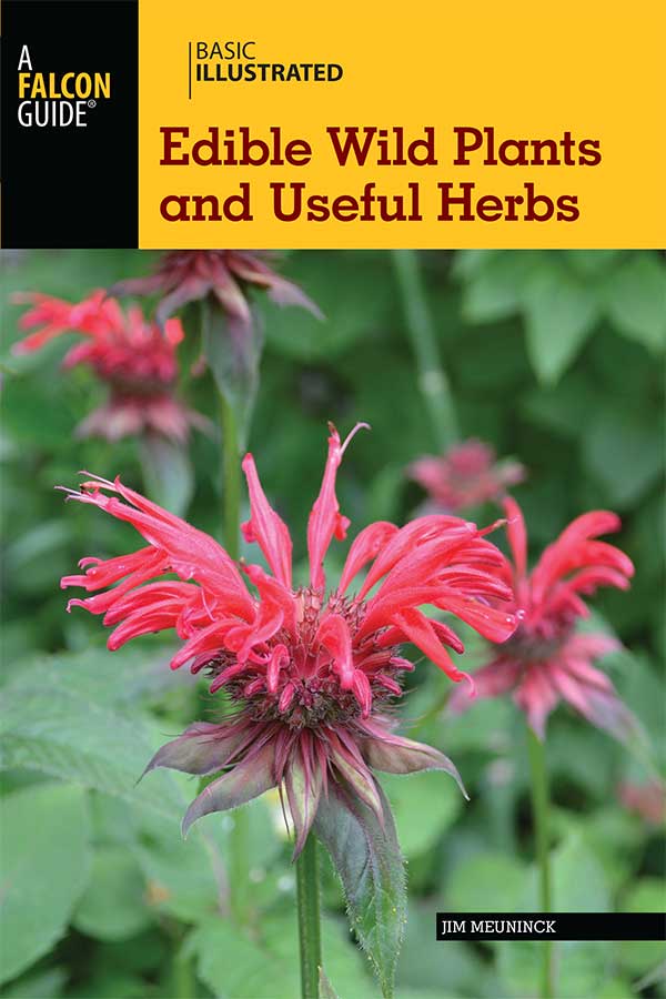 کتاب Basic Illustrated Edible Wild Plants and Useful Herbs