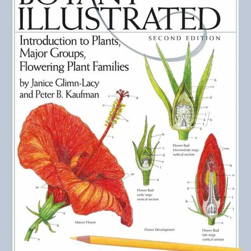 کتاب Botany Illustrated Introduction to Plants Major Groups Flowering Plant Families