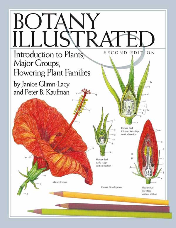 کتاب Botany Illustrated Introduction to Plants Major Groups Flowering Plant Families