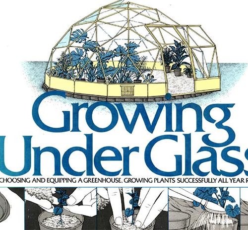 کتاب Growing under glass