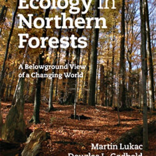 کتاب Soil Ecology in Northern Forests