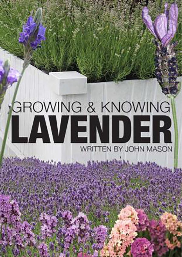 اسطو کتابGrowing and Knowing Lavender