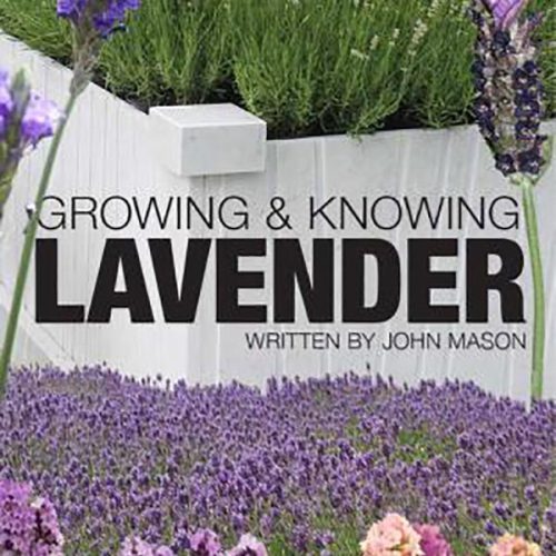 کتابGrowing and Knowing Lavender