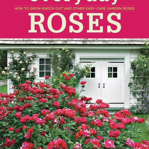 کتاب Everyday Roses